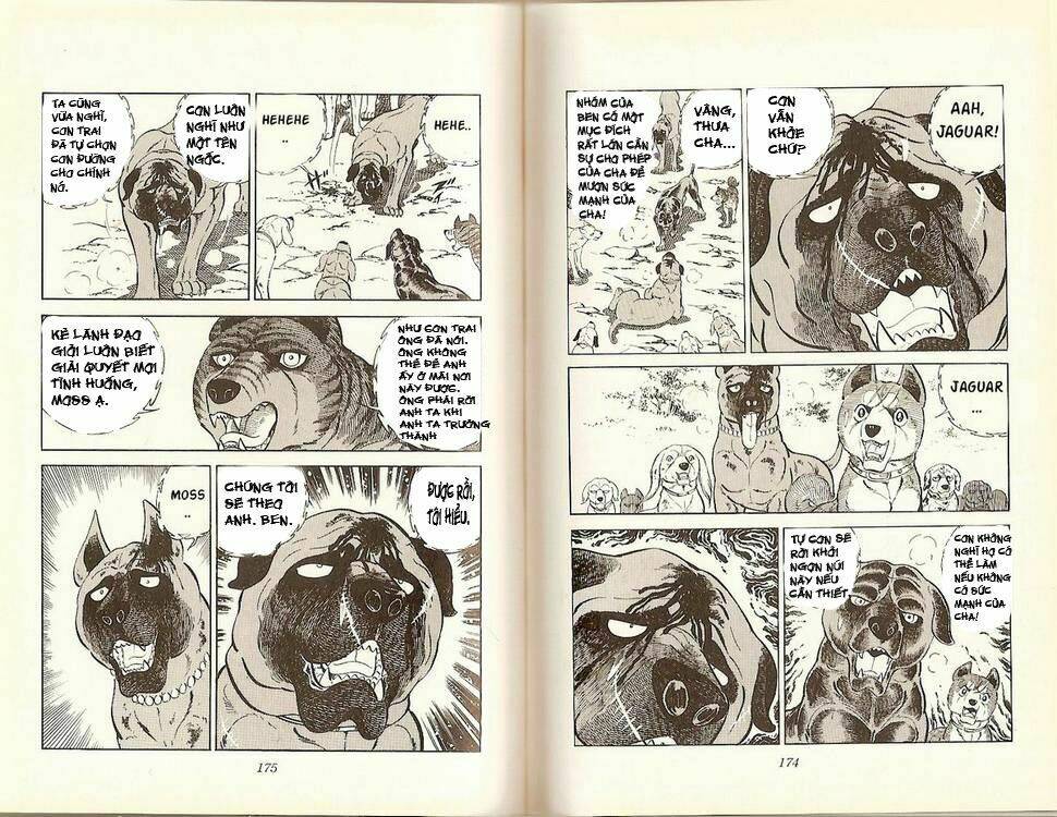 chú chó có nghĩa - ginga nagareboshi gin chapter 16 35