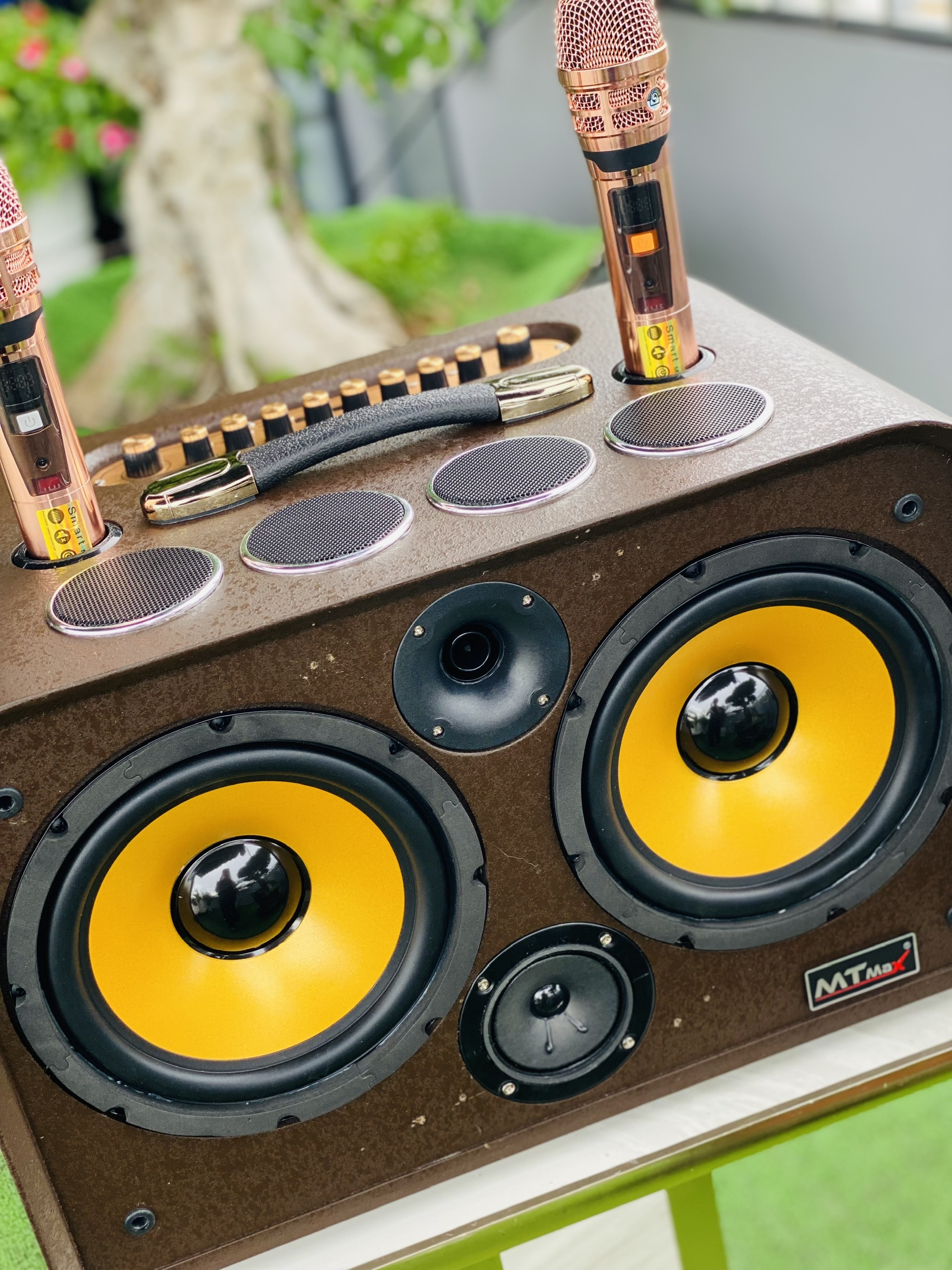 Loa L1 Pro Karaoke Nghe  Nhạc Di Động Cao Cấp 8 Đường Tiếng Loa Bass Đôi 25cm  Micro Hợp Kim  Hát Cực Hay Hàng Nhập Khẩu
