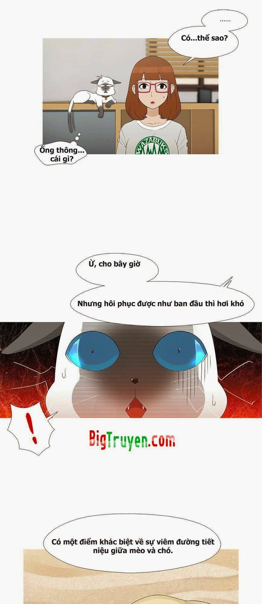 trái tim của một người bạn chapter 11 22