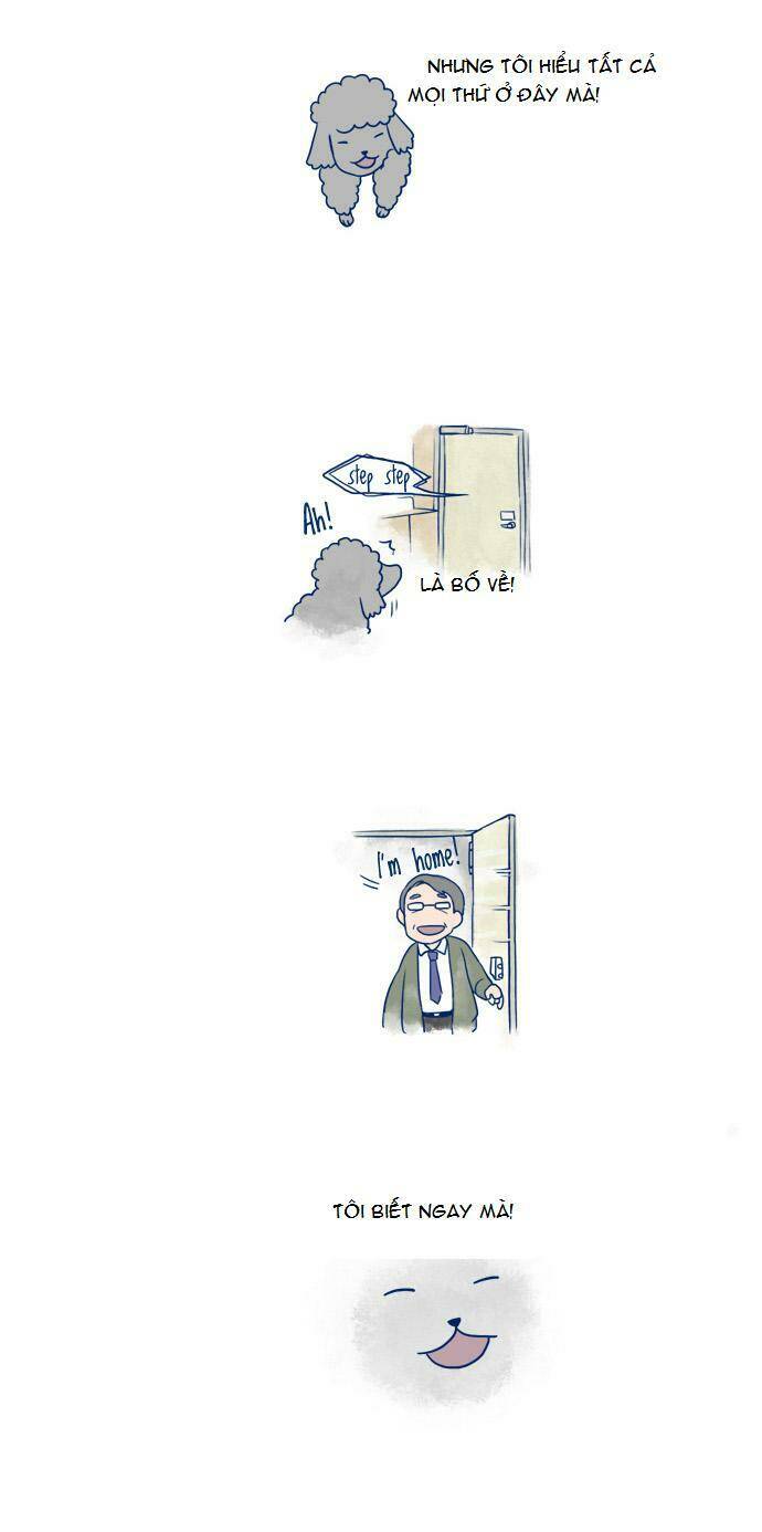 my young cat and my old dog chapter 3 6