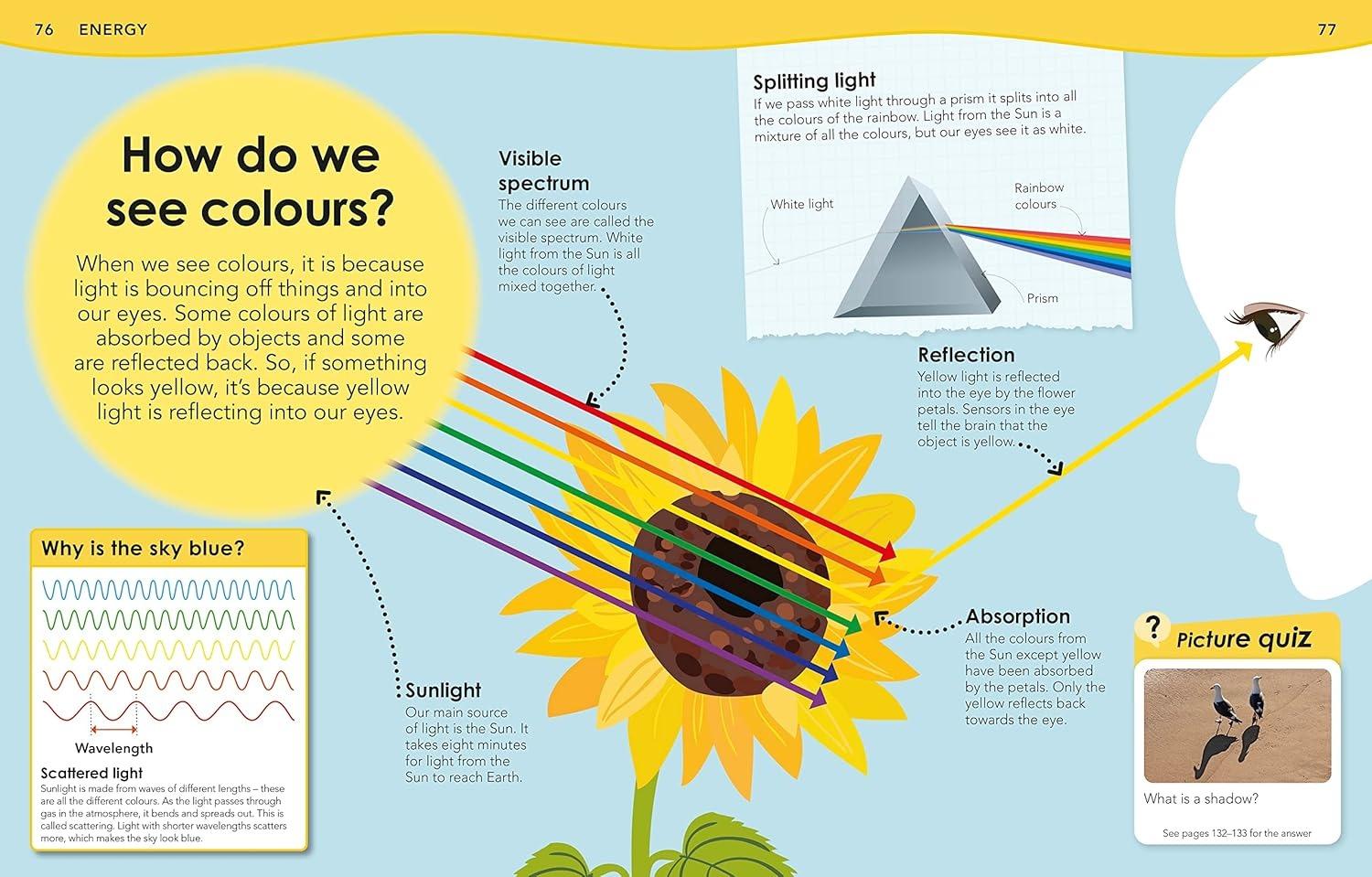 Sách ngoại văn: Why Is The Sky Blue? - With 200 Amazing Questions About Science