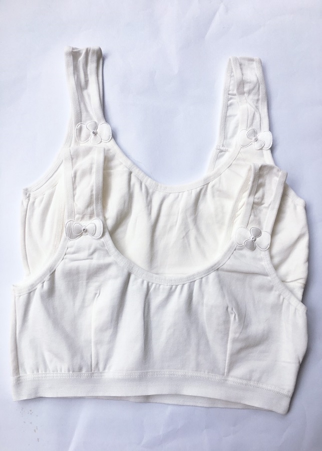 Combo 2 áo lá học sinh cotton đơn giản ALHS06