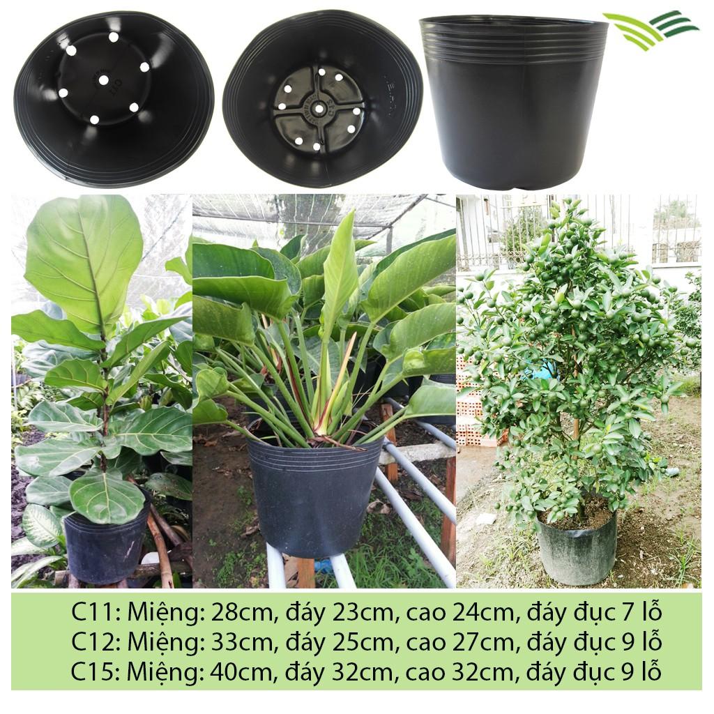 5 Chậu nhựa trồng cây cảnh, size từ C11-C15