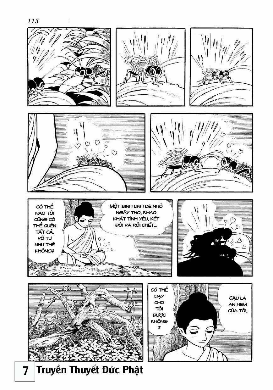 buddha - truyền thuyết đức phật chapter 33 7