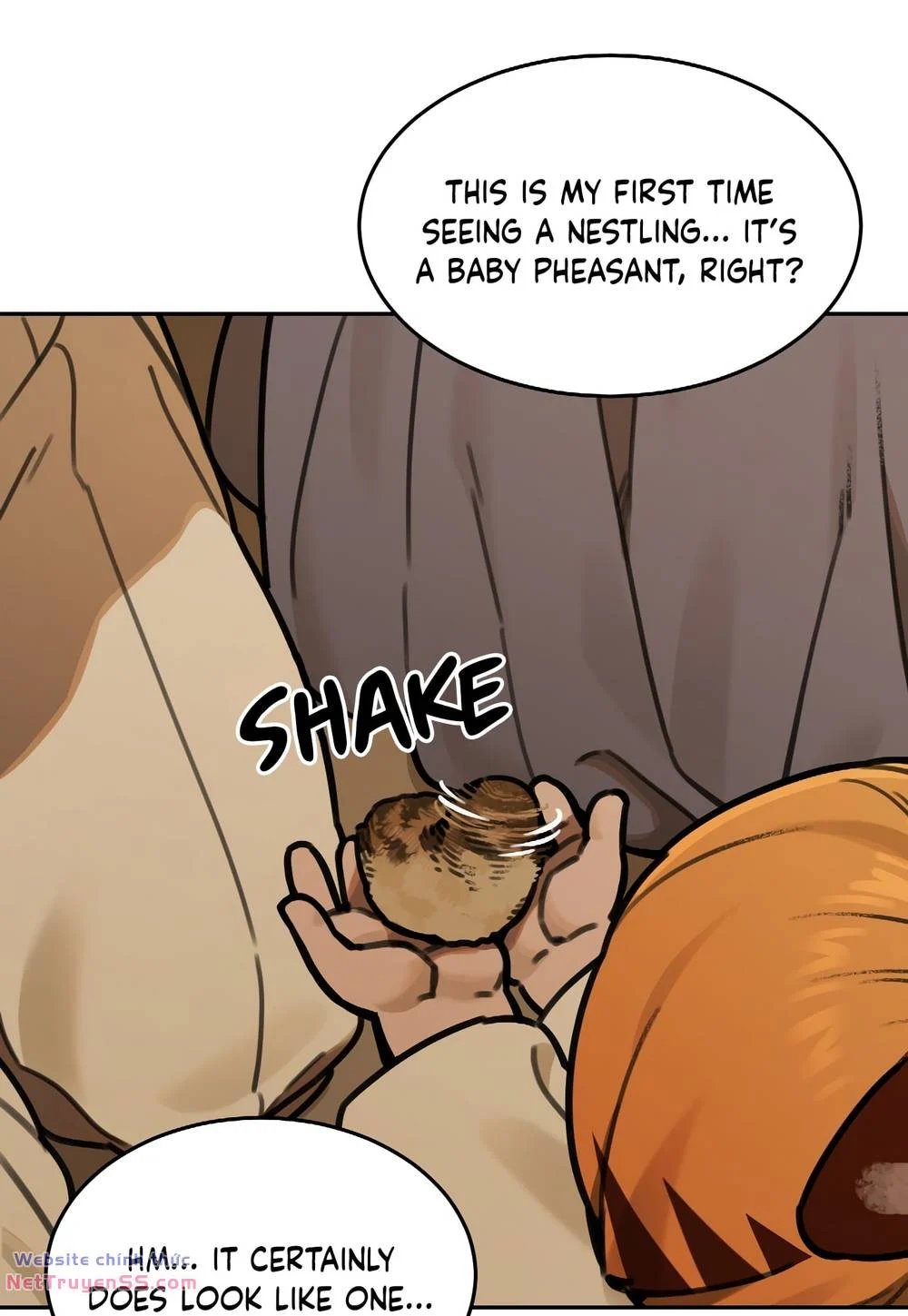 sự lụi tàn của usuzumi chapter 67 25