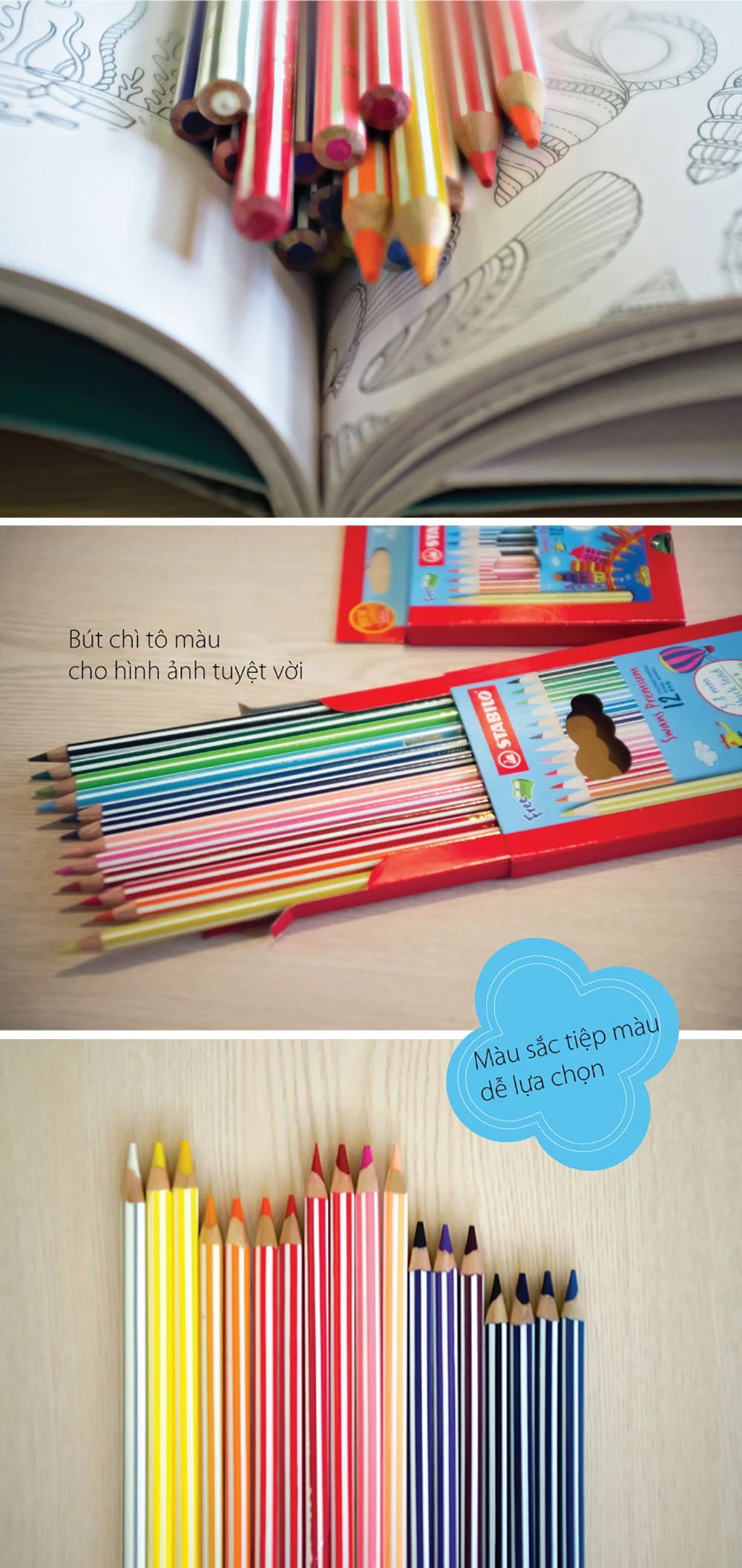 Bộ bút chì màu Swans 12 màu - Bộ 2 hộp 12 cây dài (CLP1867L-C2)