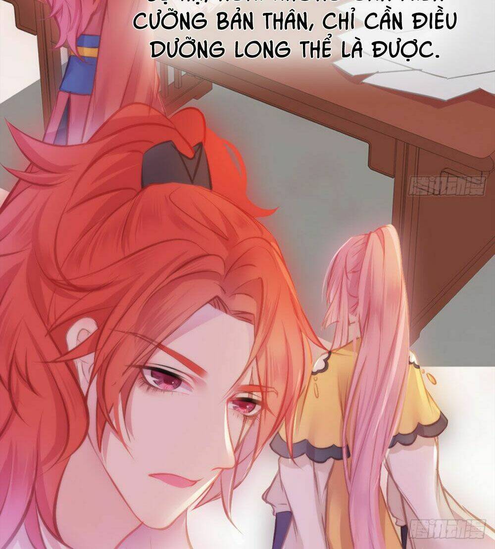 trẫm quyết định giải tán hậu cung chapter 5 6