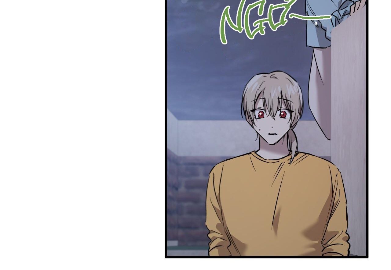 những chú thỏ của hapypy chapter 60 205