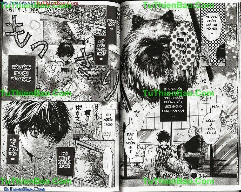 siêu tình yêu - supper lovers chapter 2 49