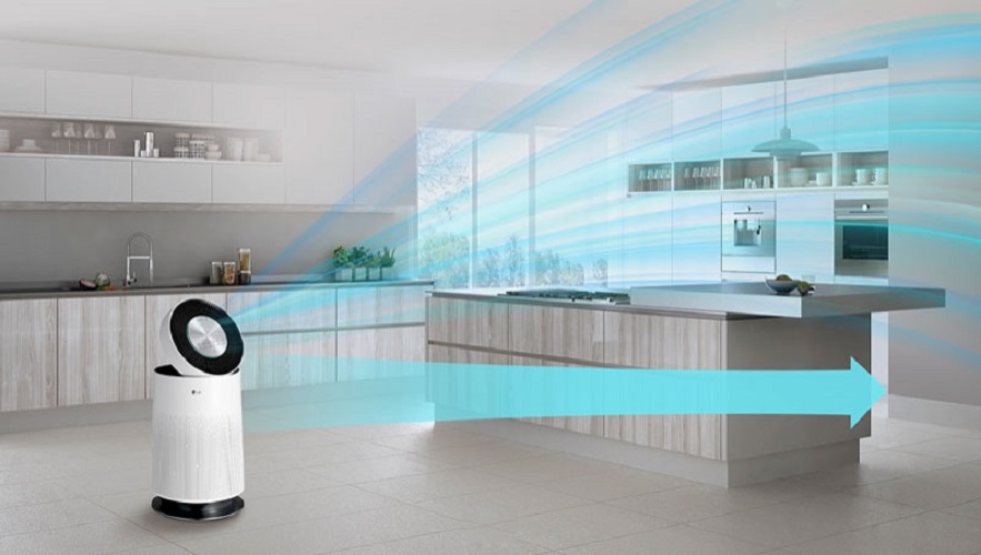 Máy lọc không khí LG PuriCare 1 tầng Safeplus AS65GDWH0 - Hàng chính hãng