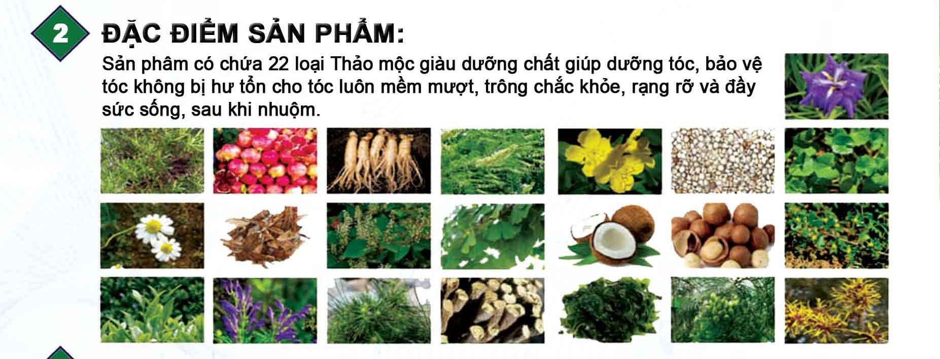 Thuốc Nhuộm Tóc LETMIMO màu nâu đen_2N, nhập khẩu hàn quốc, Hộp 5 gói, mỗi gói 24g