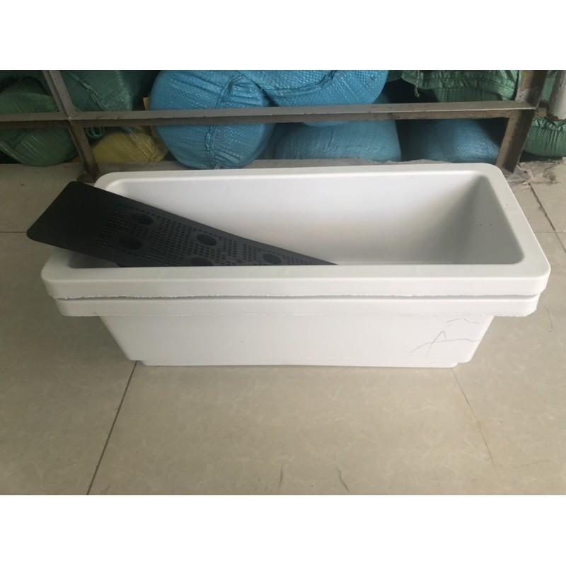 Máng trồng rau hoa kiểng các loại size