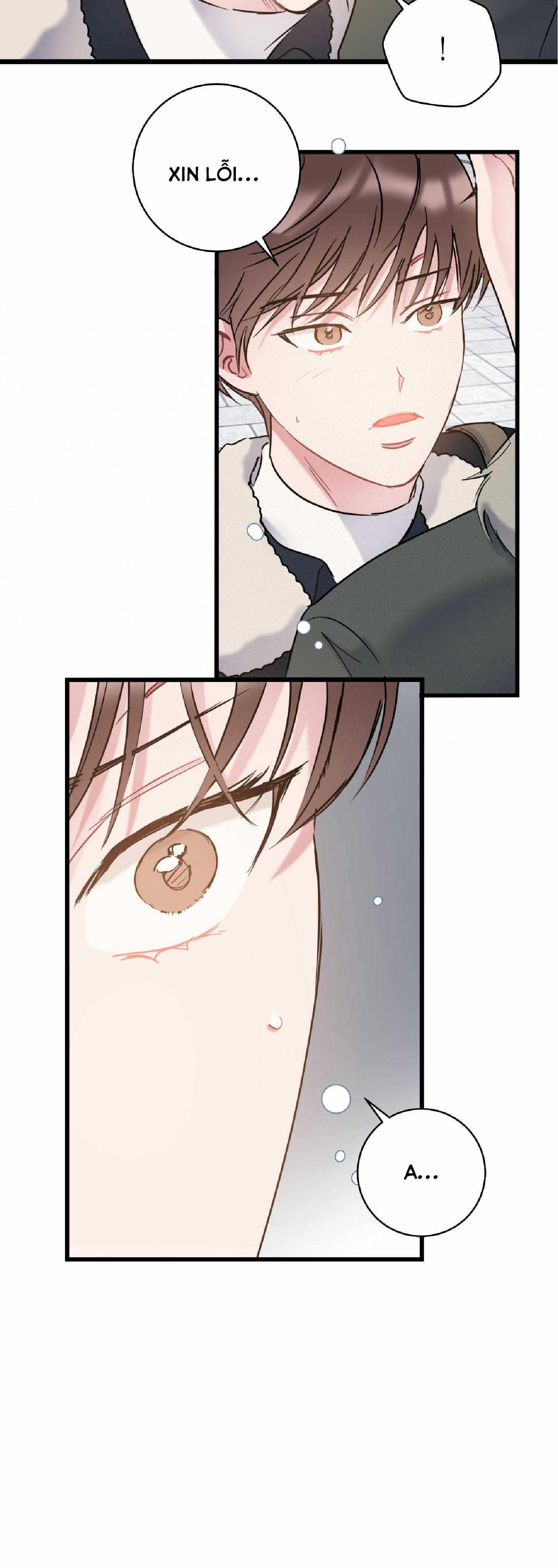 tình yêu bình dị nhất chapter 31 53