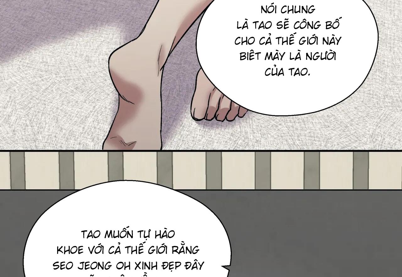 ám ảnh pheromone chapter 44 46