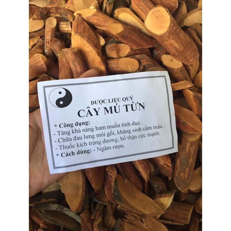 Cây mú từn - Cù boong nậu