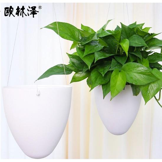 Chậu tự dưỡng treo hình trứng