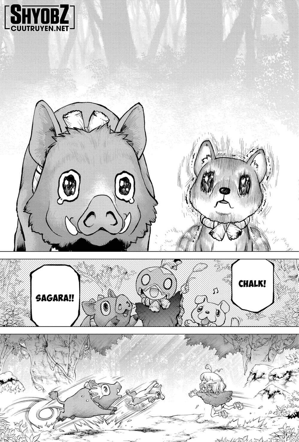 dr.stone - hồi sinh thế giới chapter 212 13