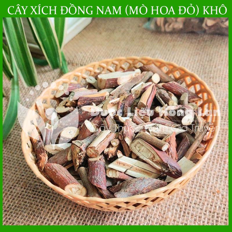 500gram Cây Xích Đồng Nam ( Mò Hoa Đỏ) khô sạch