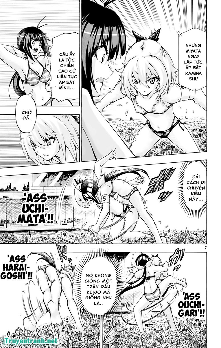 keijo!!!!!!!! (yml) chapter 204 8