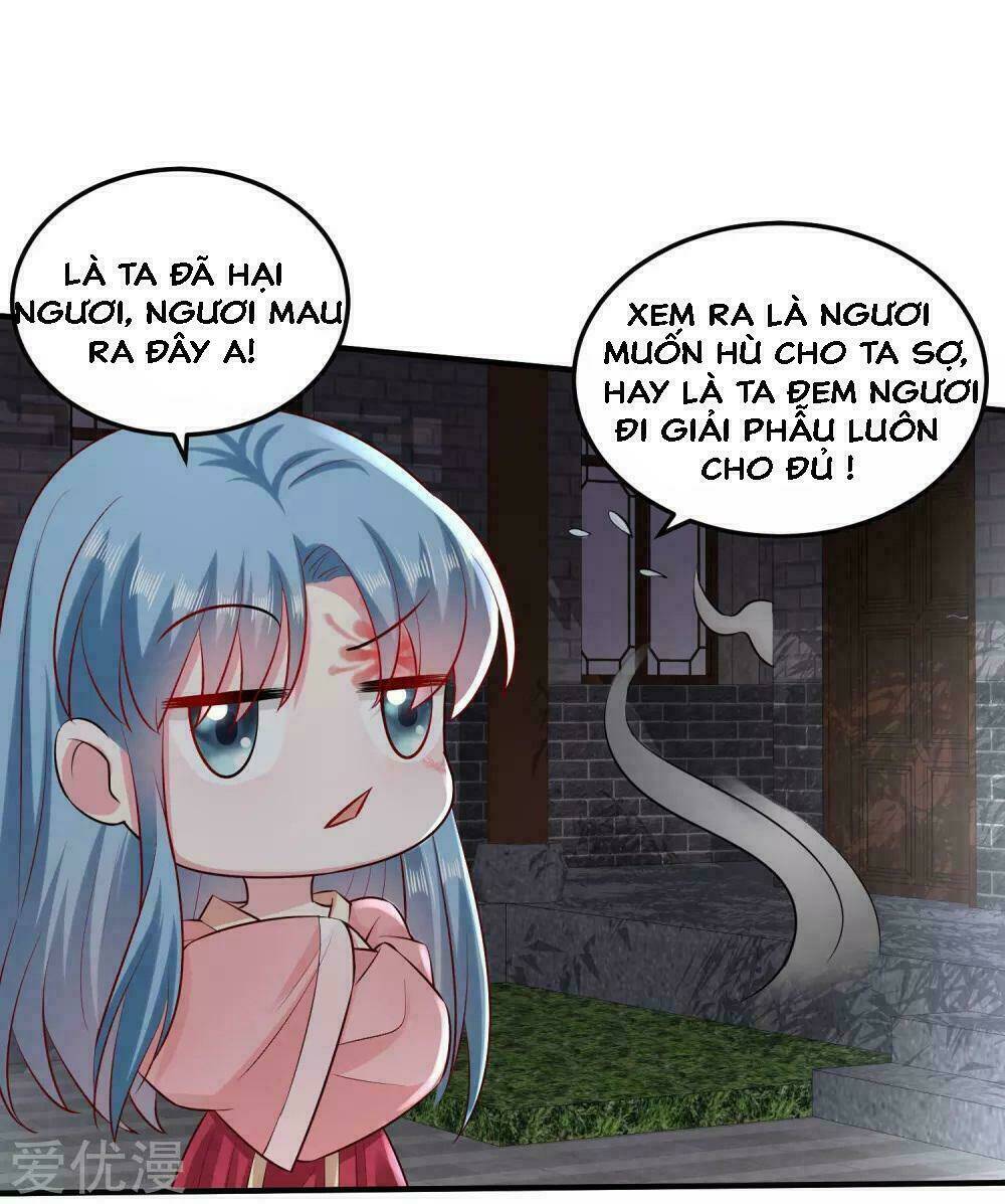 độc y đích nữ chapter 12 16