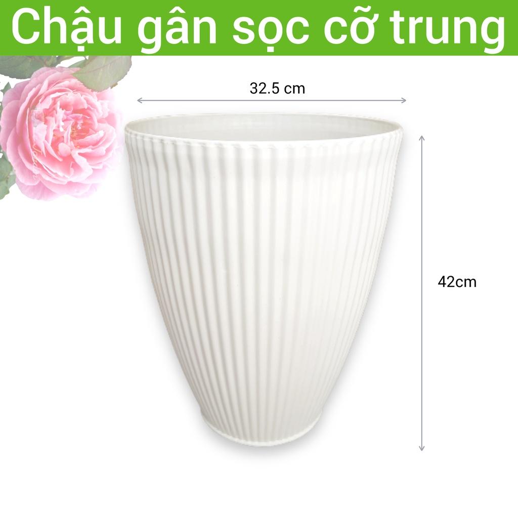 Chậu nhựa trồng cây lớn hình loa tròn sọc gân