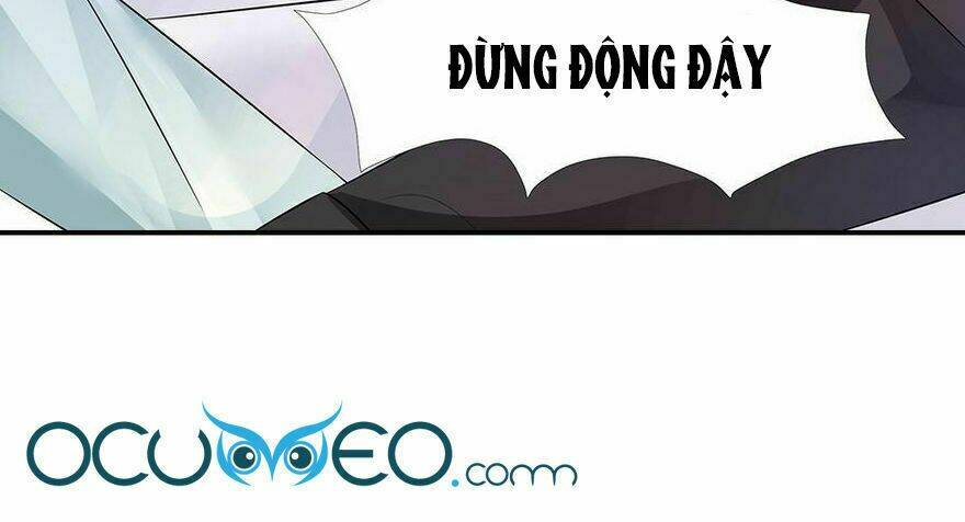 chủ tịch và nữ sát thủ chapter 56 20