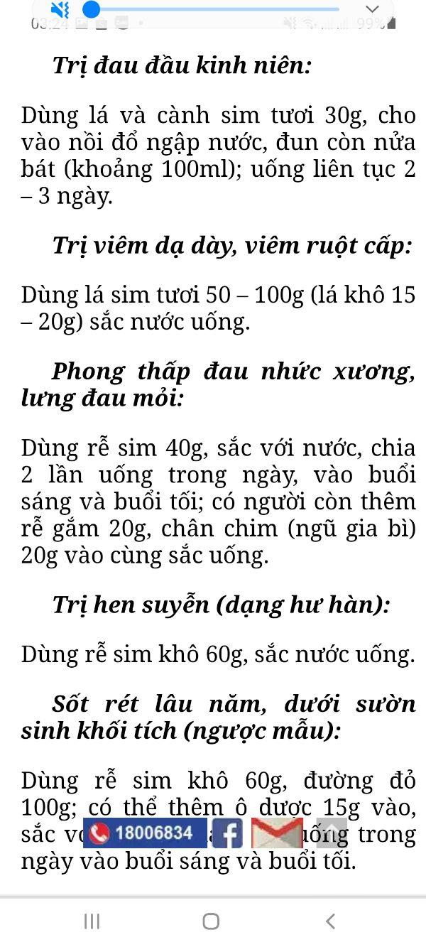 Sim ăn quả cây nhỡ cây đẹp chuẩn giống