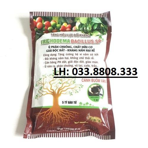 Trichoderma 1kg - chế phẩm hữu cơ diệt nấm đối kháng, tăng hiệu lực đối kháng cho cây trồng
