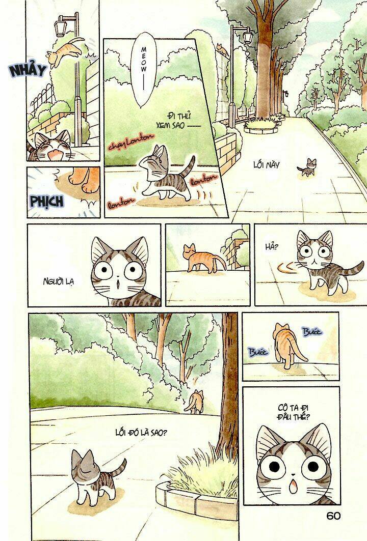 chi's sweet home chapter 82 4