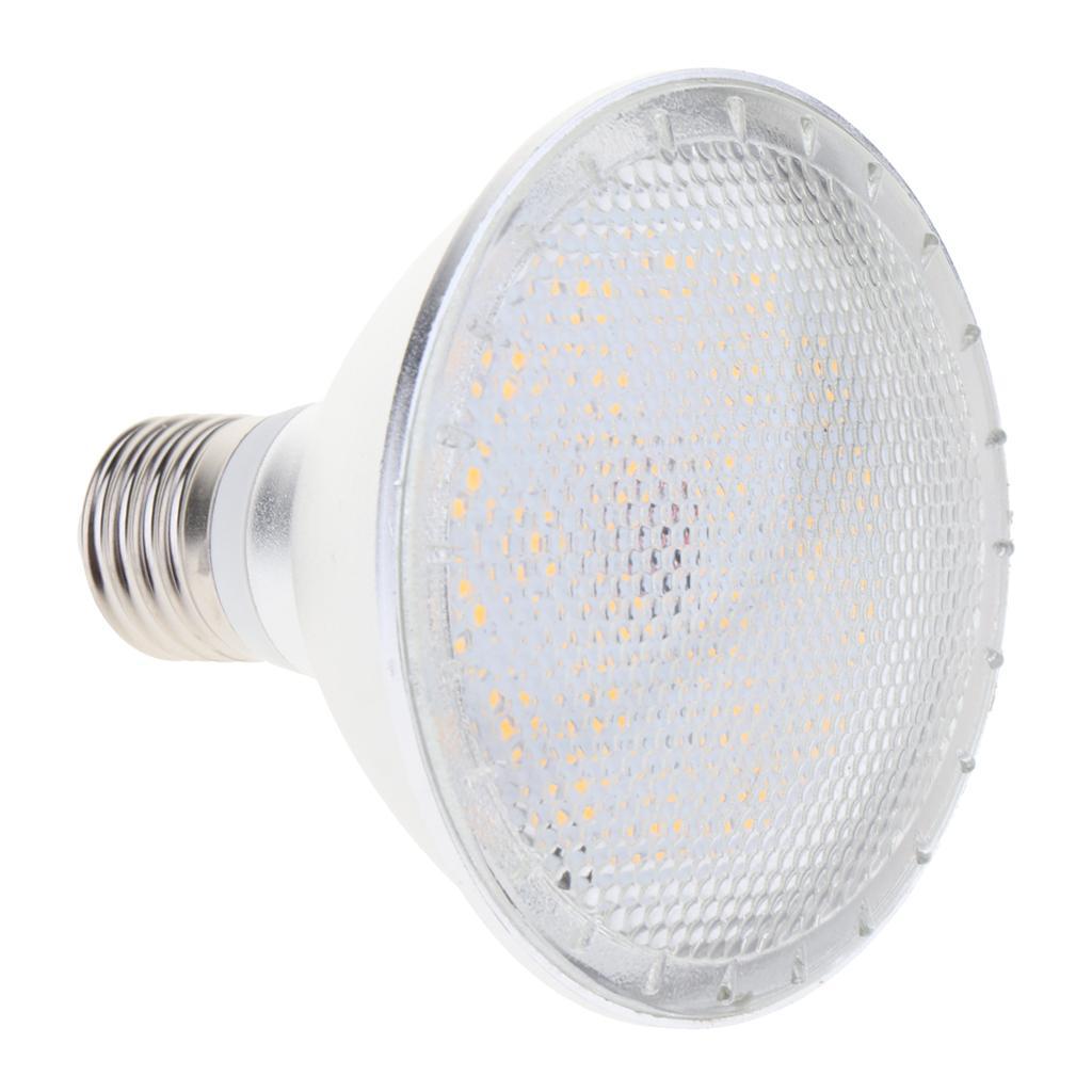 2x E27 10W PAR30 3000K / 6000-6500K LED Bulb Replacement Bulb