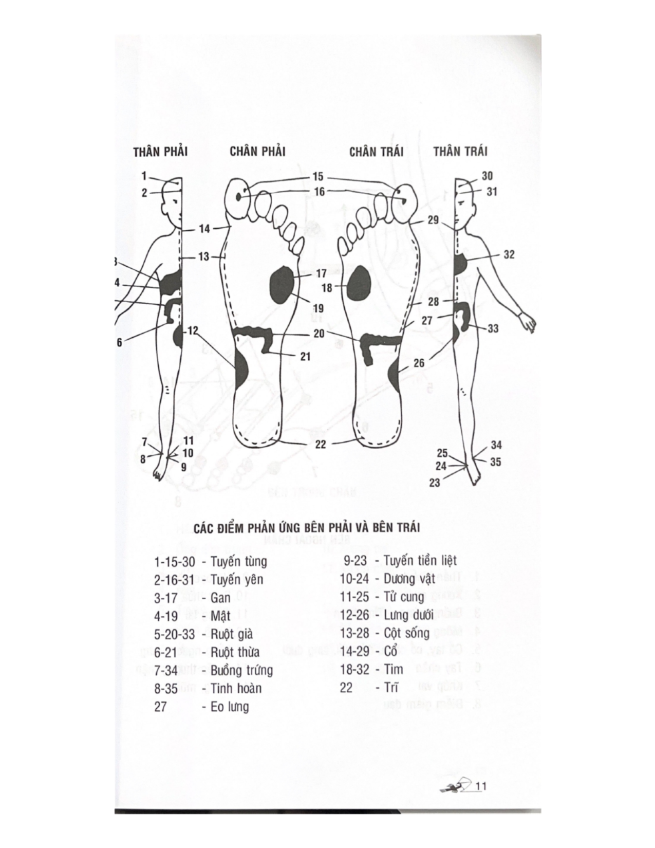 Bấm Huyệt Bàn Chân - Vanlangbooks - Tái Bản 2023