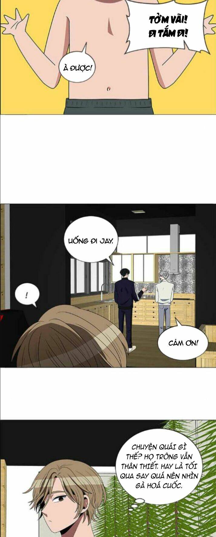 no scope chapter 113 8