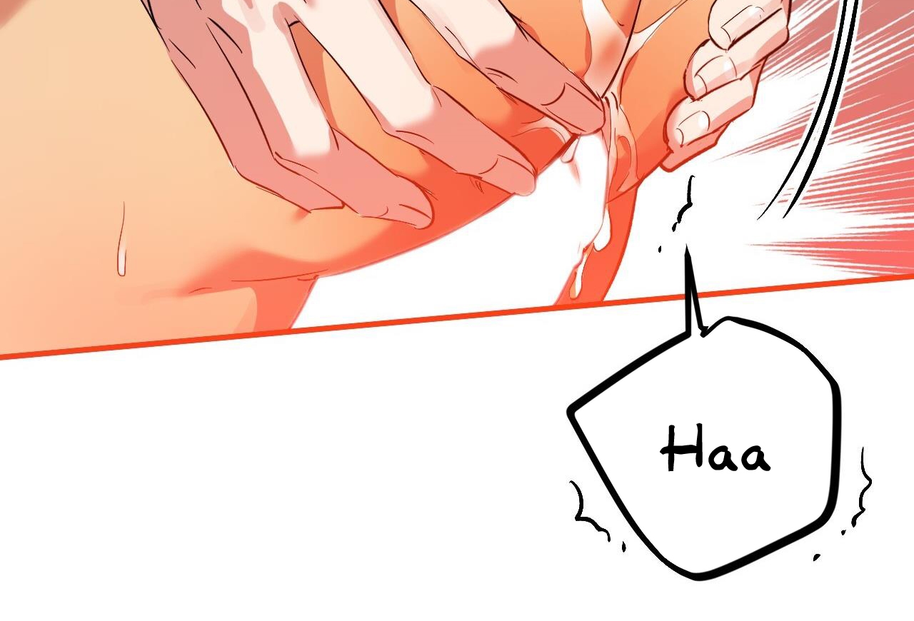 những chú thỏ của hapypy chapter 63 211