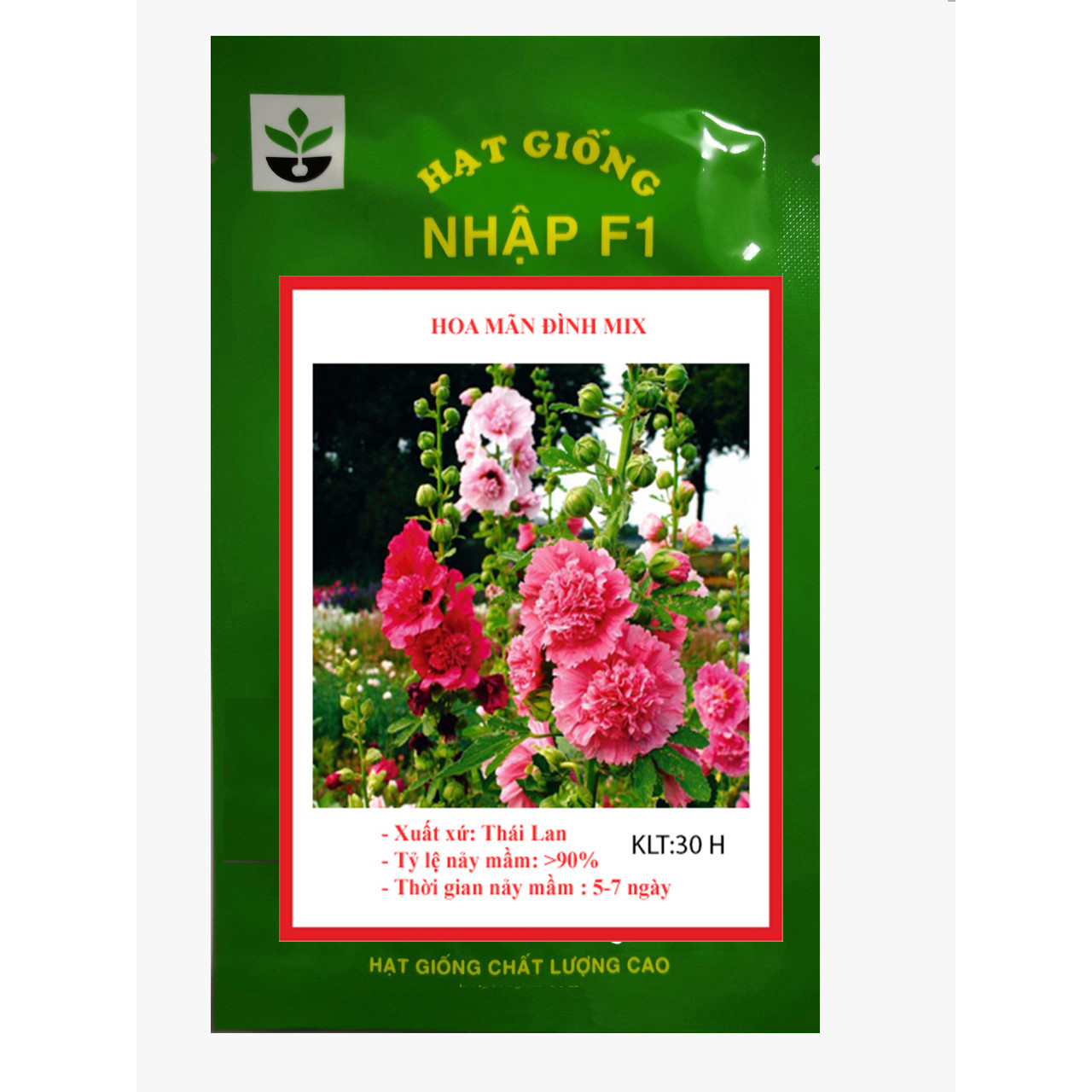 30 hạt giống hoa mãn đình