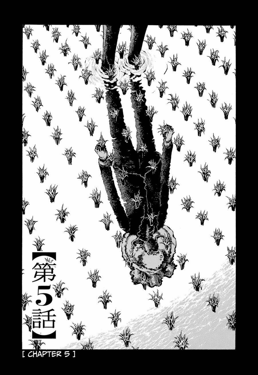 shin chimoguri ringo to kingyobachi otoko chapter 5 2