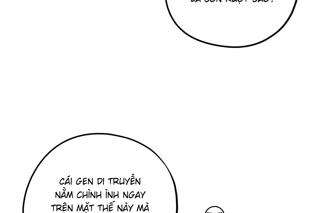 chàng dâu nhà họ kang chapter 33 54