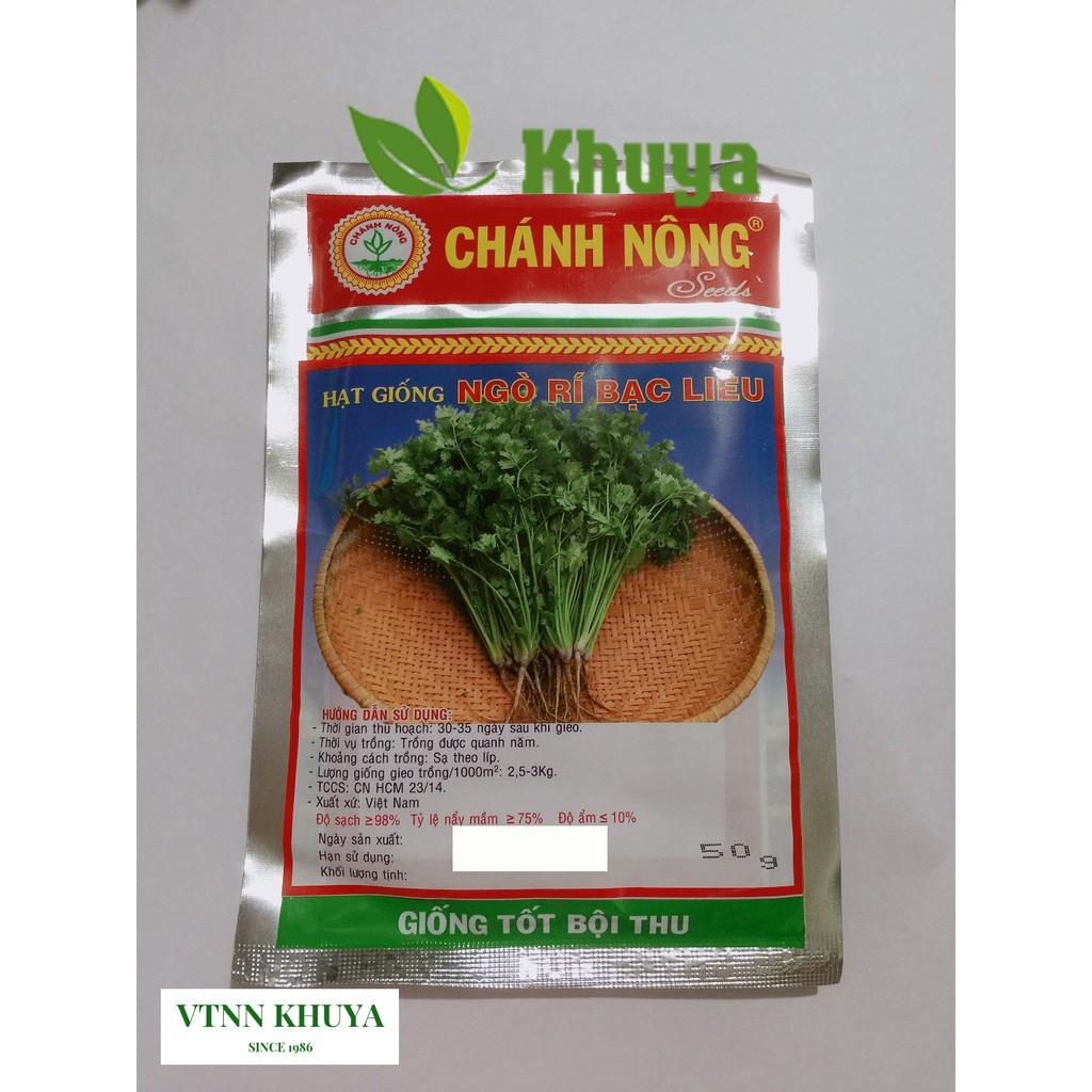 Hạt giống Ngò Rí chất lượng cao
