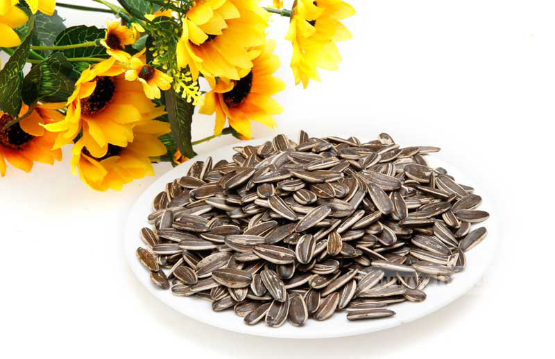Combo 3 Gói Hạt Hướng Dương CHACHEER Vị Dừa 130g