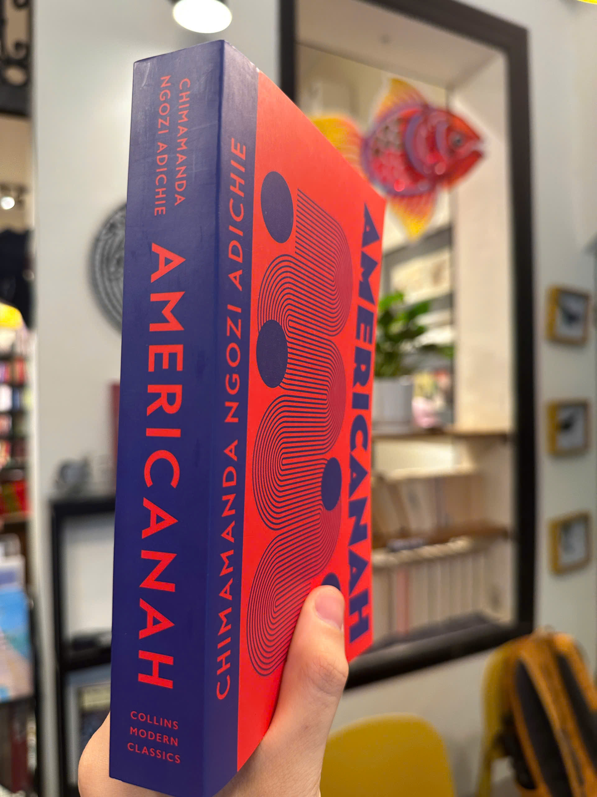 Sách - Americanah by Chimamanda Ngozi Adichie | Literary Fiction / Ngoại văn Nhập khẩu UK