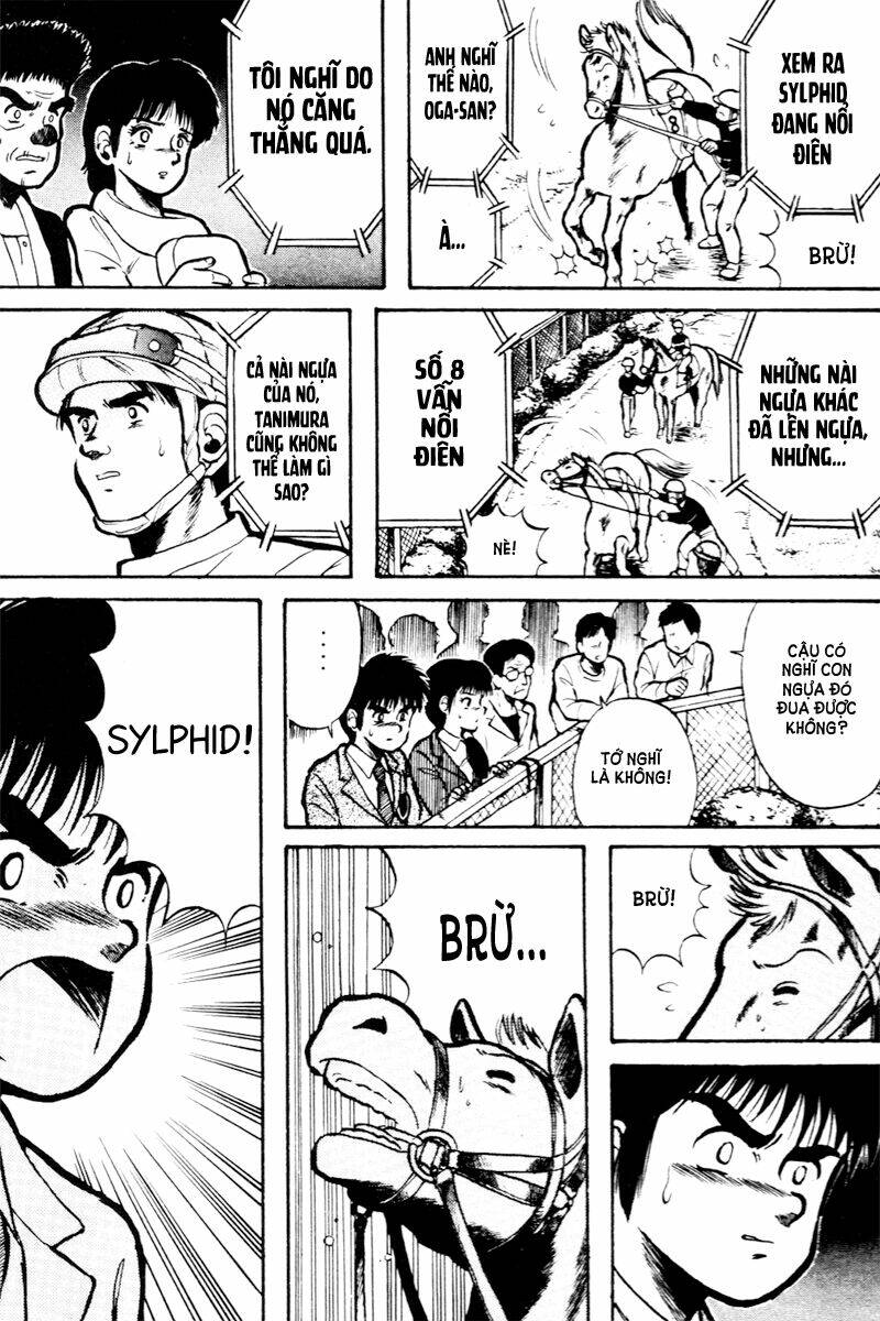 kaze no sylphid - phong mã silphid chapter 14 8