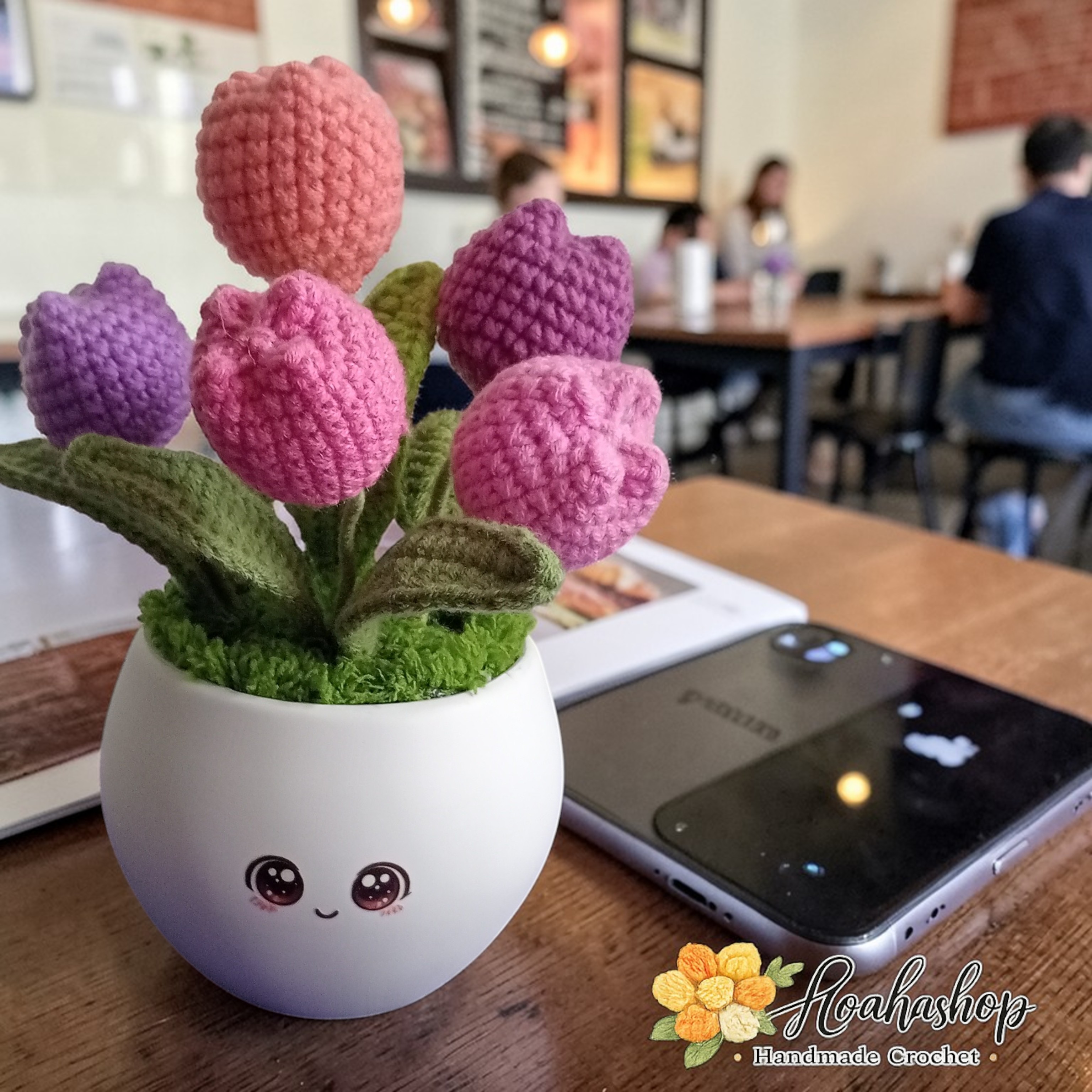 Chậu hoa mini decor bàn làm việc– Quà tặng xinh xắn