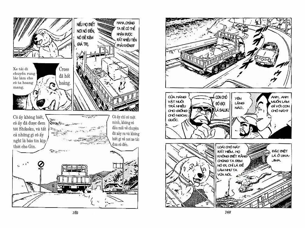 chú chó có nghĩa - ginga nagareboshi gin chapter 28 23