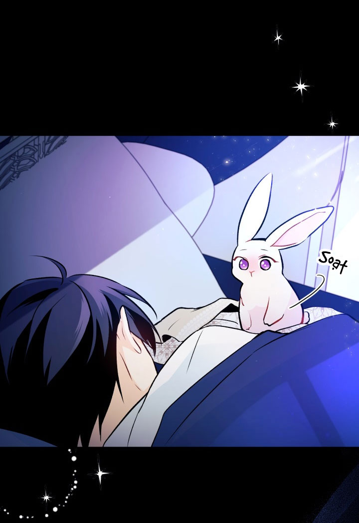 mối liên kết giữa báo đen và bé thỏ chapter 2 77