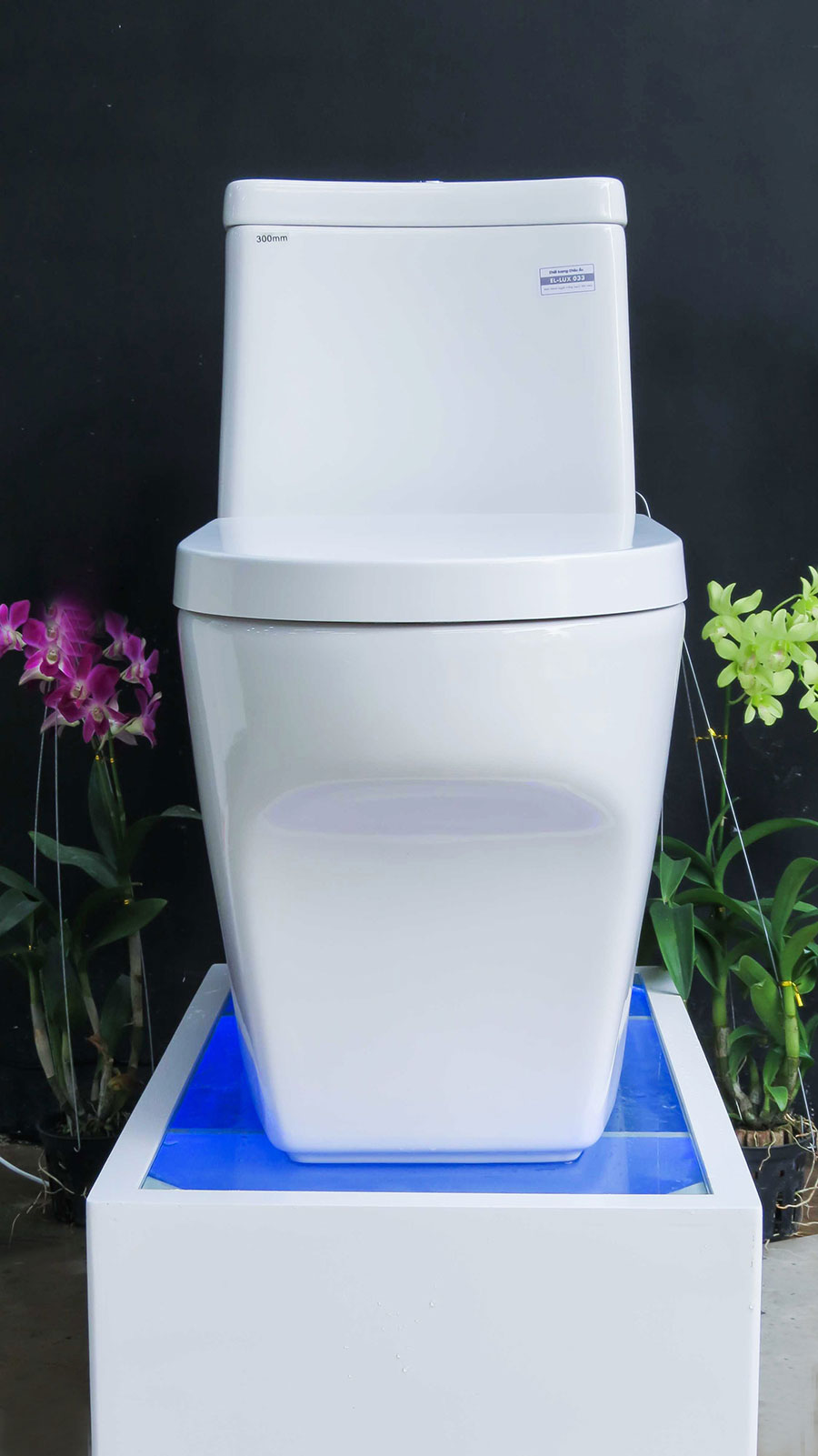 Bồn cầu 1 khối cao cấp tiêu chuẩn xuất Châu Âu, men Nano tuyết bóng sáng, nắp đóng siêu êm, 2 chế độ xả Eurolife EL-LUX 033