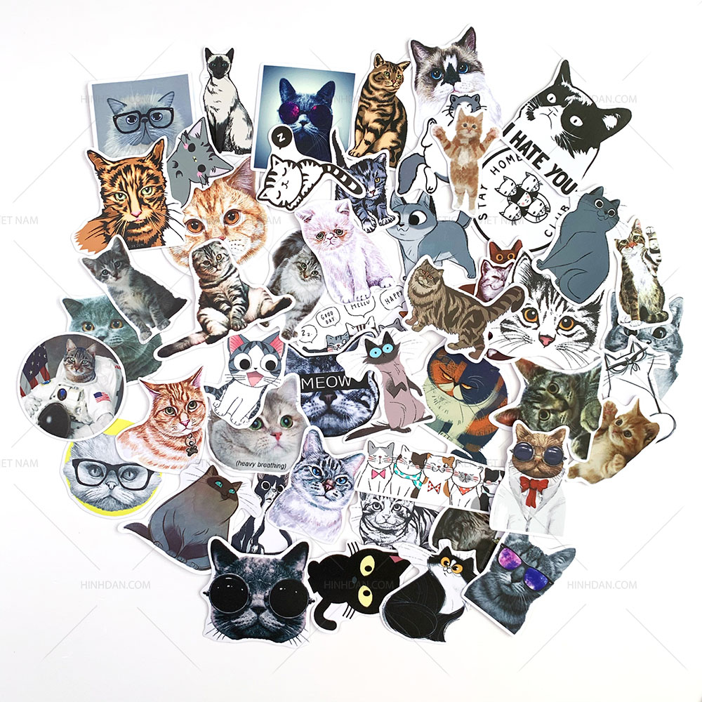 Bộ sticker chủ đề Mèo - Cat - Boss 2019, decal hình dán thú cưng chống nước, trang trí nón bảo hiểm, điện thoại, lap top ...