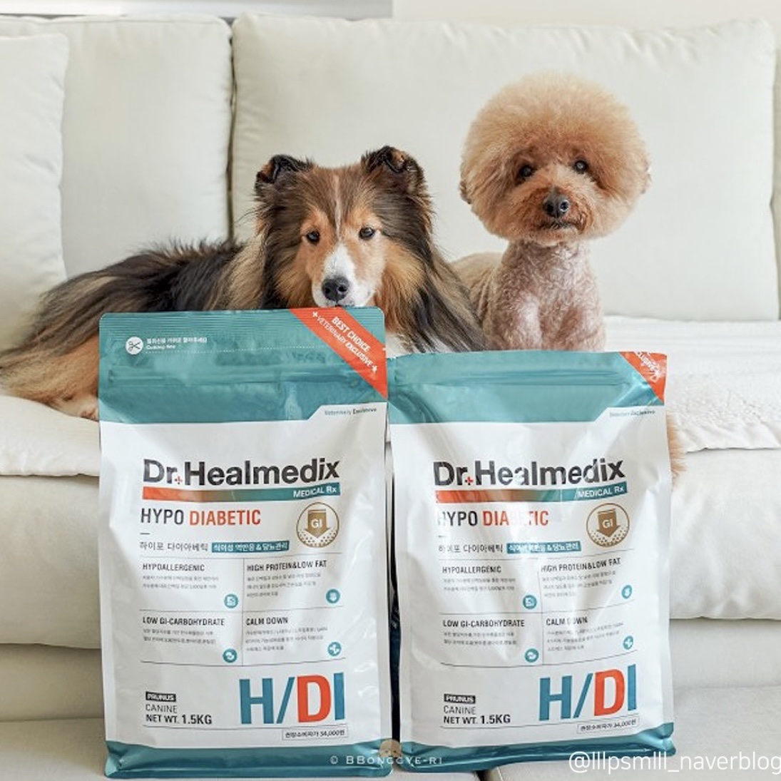 THỨC ĂN HẠT CHO CHÓ DR.HEALMEDIX HYPO DIABETIC CÂN BẰNG ĐƯỜNG HUYẾT &amp; DUY TRÌ SỨC KHOẺ [ Túi 1.5kg ]