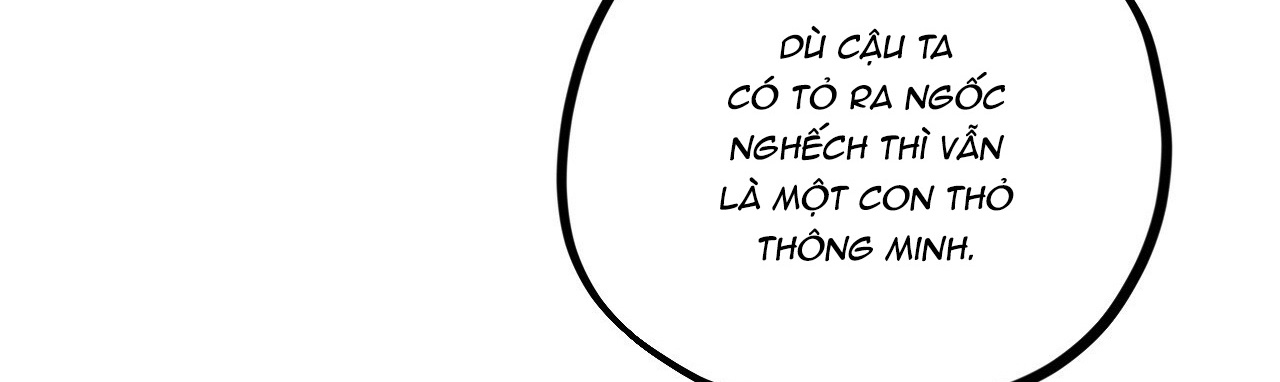 đàn thỏ của habibi chapter 22 322