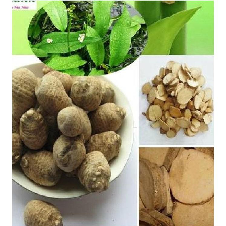 Hạt giống trạch tả - 50 hạt/gói