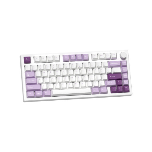 Bàn phím cơ FL-Esports GP75CPM (Taro Purple/Polar Night Black)_Mới, hàng chính hãng