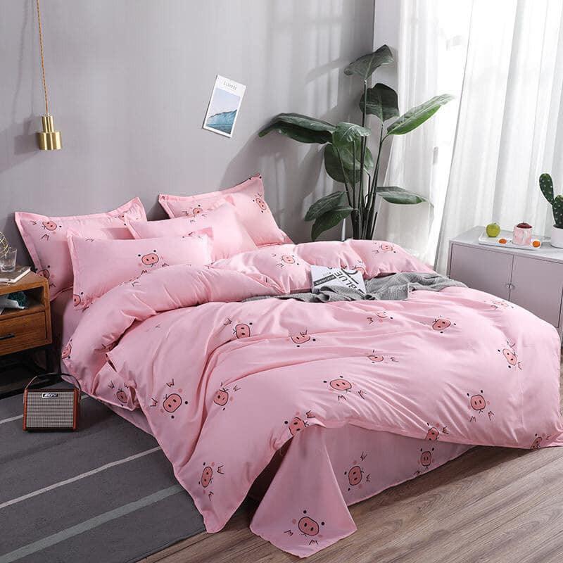 Bộ 4 Món Chăn Ga Gối Cotton Poly | Hàng nhập khẩu hỗ trợ bo chun